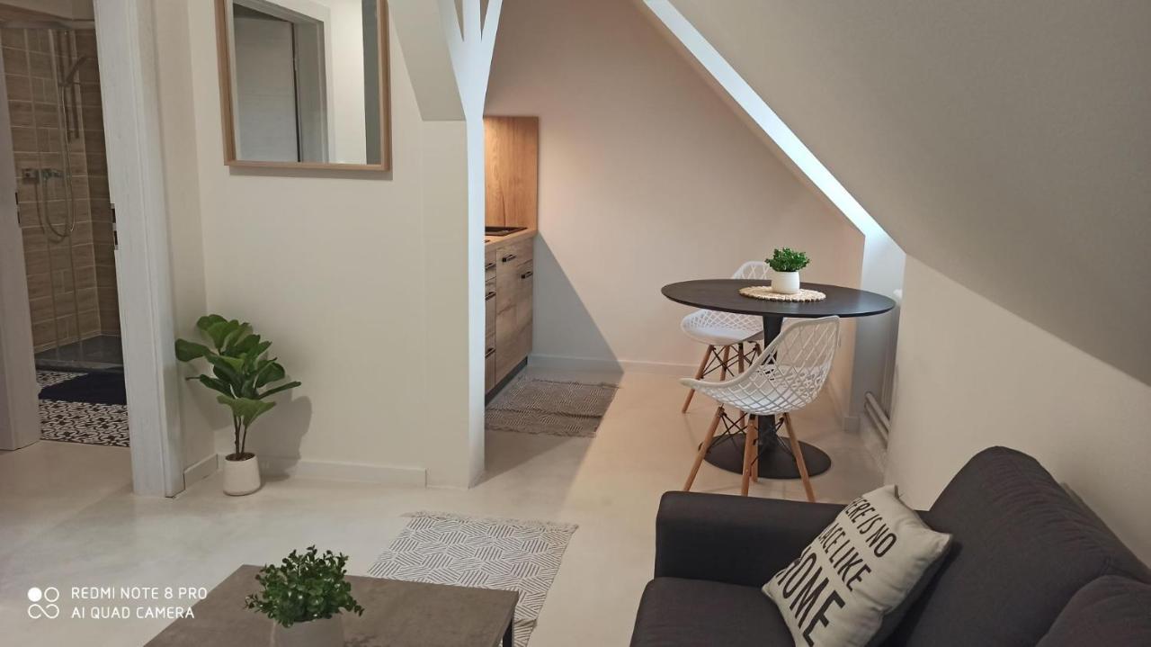LitoměřiceU Zlate Hvezdy Apartman Jungmannアパートメント エクステリア 写真
