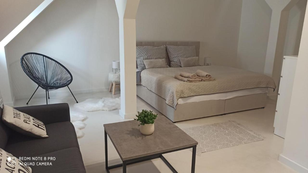 LitoměřiceU Zlate Hvezdy Apartman Jungmannアパートメント エクステリア 写真